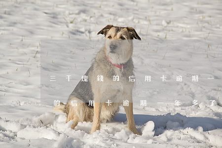 三千塊錢的信用卡逾期一年多了-三千塊錢的信用卡逾期一年多了會(huì)怎么樣