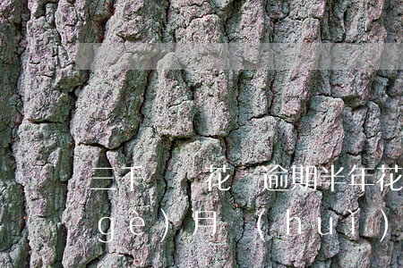 三千塊錢花唄逾期半年(花唄三千逾期兩個(gè)月會(huì)怎么樣)