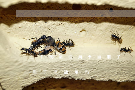 三千额度信用卡逾期了-三千额度信用卡逾期了还能用吗