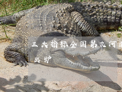 三大指标全国第九！河南新三板最权威大数据出炉