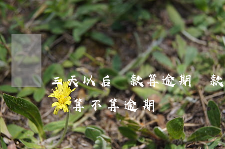 三天以后還款算逾期(貸款3天內(nèi)還算不算逾期)