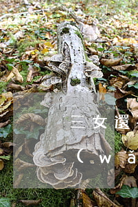 三女還不起網(wǎng)貸(三女還不起網(wǎng)貸視頻)