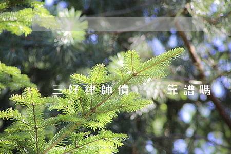 三好律師債減減靠譜嗎
