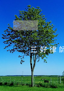 三好律師怎么收費(三萬五律師費多少錢)