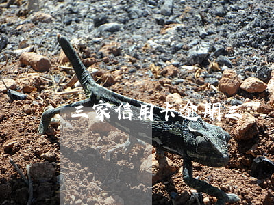 三家信用卡逾期三萬