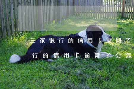 三家银行的信用卡逾期了会怎么样-三家银行的信用卡逾期了会怎么样吗