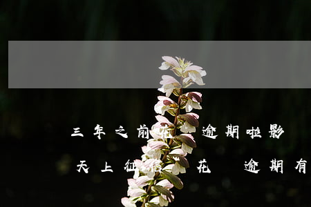 三年之前花唄逾期啦影響征信嗎(花唄逾期三天上征信嗎?花唄逾期有什么后果)