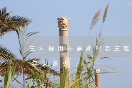 三年信用卡逾期利息三萬(信用卡三千逾期三年欠多少)