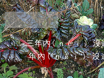 三年內(nèi)沒逾期能辦信用卡嗎-三年內(nèi)沒逾期能辦信用卡嗎