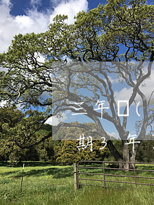三年內(nèi)無逾期可以貸款嗎(貸款逾期3年了會怎么樣?)