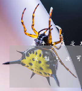 三年六次逾期能不能貸款(兩年內(nèi)逾期六次可以貸款嗎)