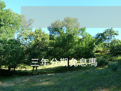 三年分期免息嗎