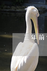 三年前信用卡逾期9次(三年前逾期十几次)