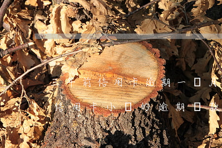 三年前信用卡逾期一個月影響貸款嗎（一年前信用卡小額的逾期貸款）