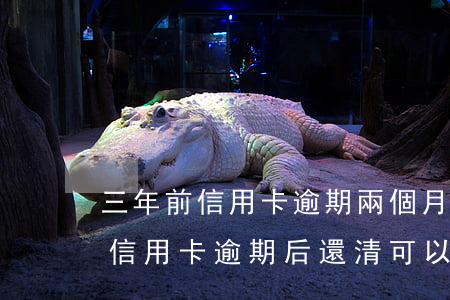 三年前信用卡逾期兩個月還清后直接注銷了（信用卡逾期后還清可以銷戶嗎）