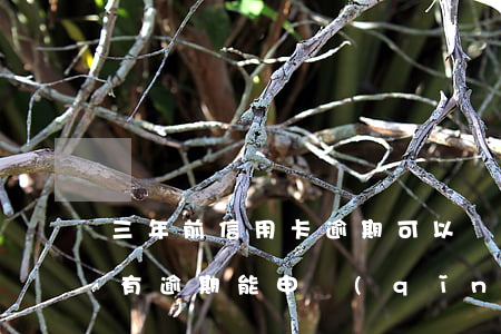 三年前信用卡逾期可以貸款嗎 信用卡3年前有逾期能申請(qǐng)房貸嗎