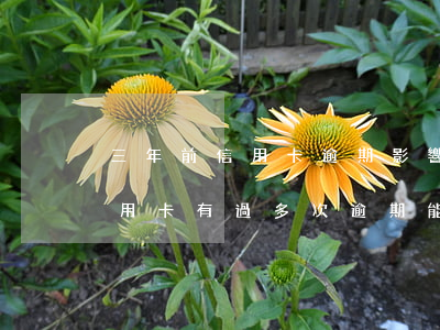 三年前信用卡逾期影響貸款嗎知乎(三年前信用卡有過多次逾期能貸款買房嗎)