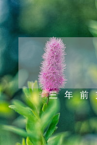 三年前支付宝逾期影响征信
