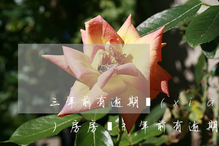 三年前有逾期現(xiàn)在買(mǎi)房(房貸3年前有逾期)
