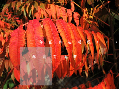 三年前有逾期現(xiàn)在買房(房貸3年前有逾期)