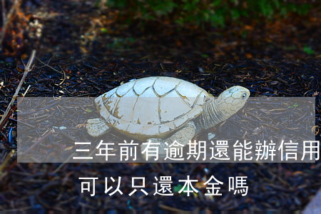 三年前有逾期還能辦信用卡（信用卡逾期3年可以只還本金嗎）