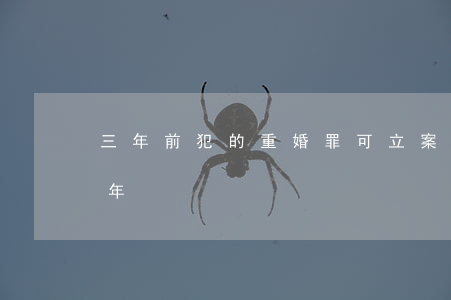 三年前犯的重婚罪可立案嗎(重婚罪可以判幾年)