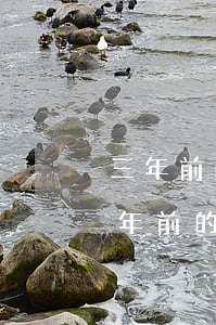 三年前的離婚協(xié)議書還能用嗎(幾年前的離婚協(xié)議書寫日期了,現(xiàn)在可用嗎)