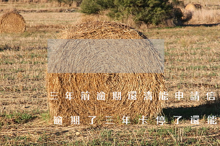 三年前逾期還清能申請信用卡嗎-我信用卡逾期了三年 卡停了 還能還錢嗎