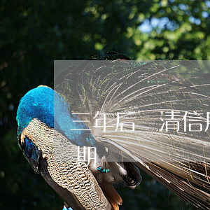 三年后還清信用卡逾期(三年后還清信用卡逾期)