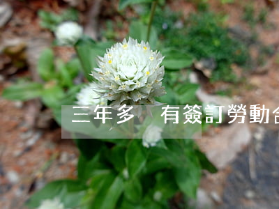 三年多沒有簽訂勞動合同辭職如何申請賠償
