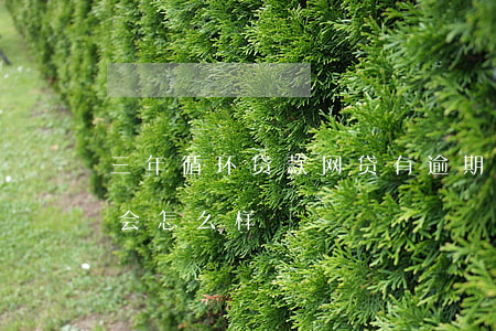 三年循环贷款网贷有逾期(网贷连续逾期三次会怎么样)