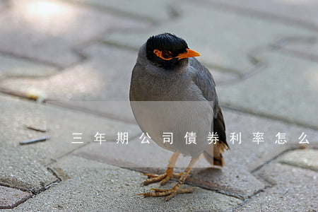 三年期公司債券利率怎么計(jì)算