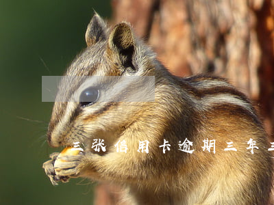 三张信用卡逾期三年(三张信用卡逾期三年)