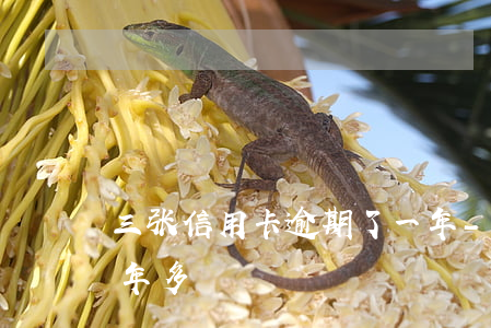 三张信用卡逾期了一年-三张信用卡逾期一年多