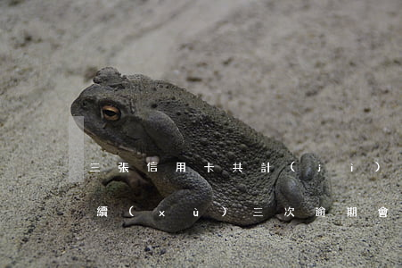 三張信用卡共計(jì)逾期七次(信用卡連續(xù)三次逾期會(huì)怎么樣)