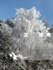 三張信用卡欠了5萬