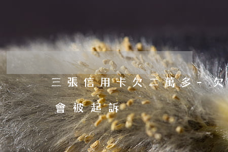 三張信用卡欠二萬多-欠信用卡兩萬塊會不會被起訴