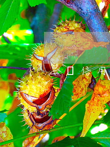 三張信用卡欠八萬五年不還怎么辦