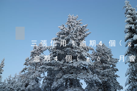 三張信用卡逾期4個(gè)月 三張信用卡逾期4個(gè)月會(huì)怎樣