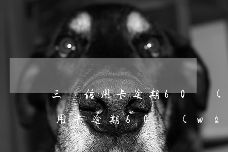 三張信用卡逾期60萬(wàn)-三張信用卡逾期60萬(wàn)