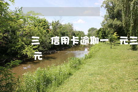 三張信用卡逾期一萬元(三張信用卡逾期一萬元)