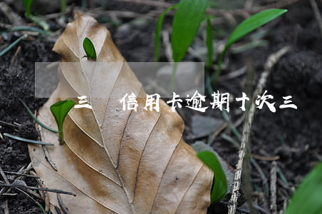 三張信用卡逾期十次（三張信用卡逾期十次）
