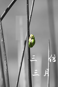 三張信用卡逾期幾個(gè)月(信用卡逾期三月嚴(yán)重嗎)