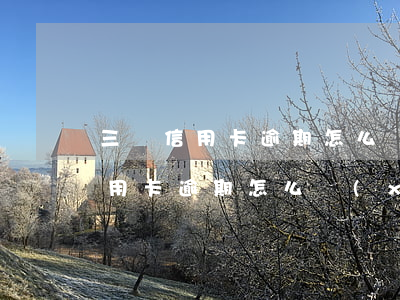 三張信用卡逾期怎么協(xié)商(三張信用卡逾期怎么協(xié)商)