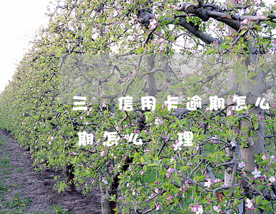 三張信用卡逾期怎么處理最快（三張信用卡逾期怎么處理）