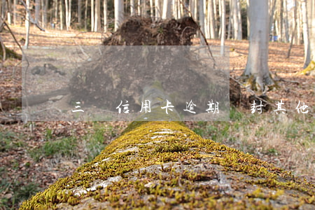 三張信用卡逾期會封其他卡嗎