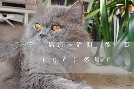 三張信用卡逾期還能貸款嗎(欠信用卡逾期三個(gè)多月了還錢會(huì)有什么影響)