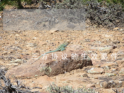 三方协议的生效要件