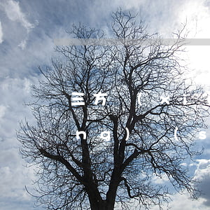 三方協(xié)議有效期是多長(zhǎng)時(shí)間