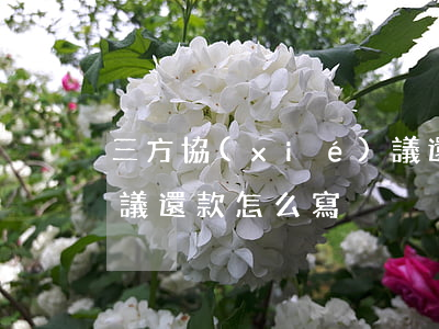 三方協(xié)議還款(三方協(xié)議還款怎么寫)